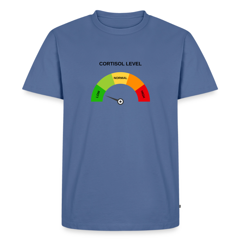 Low Cortisol - stone blue
